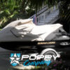 Poppy Co Seadoo RXT-X aS Cover